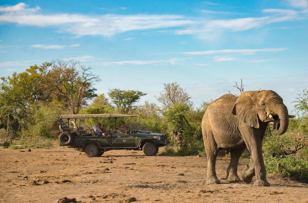 Photo of Others in Madikwe Game Reserve