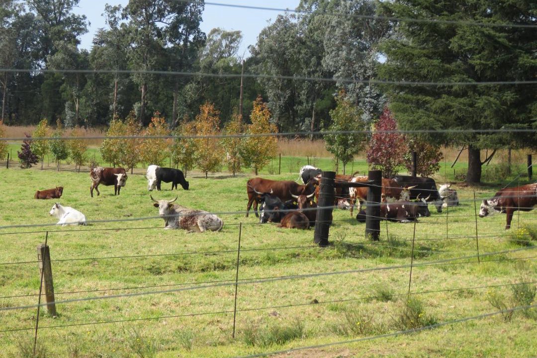 Photo of Others in Mooirivier