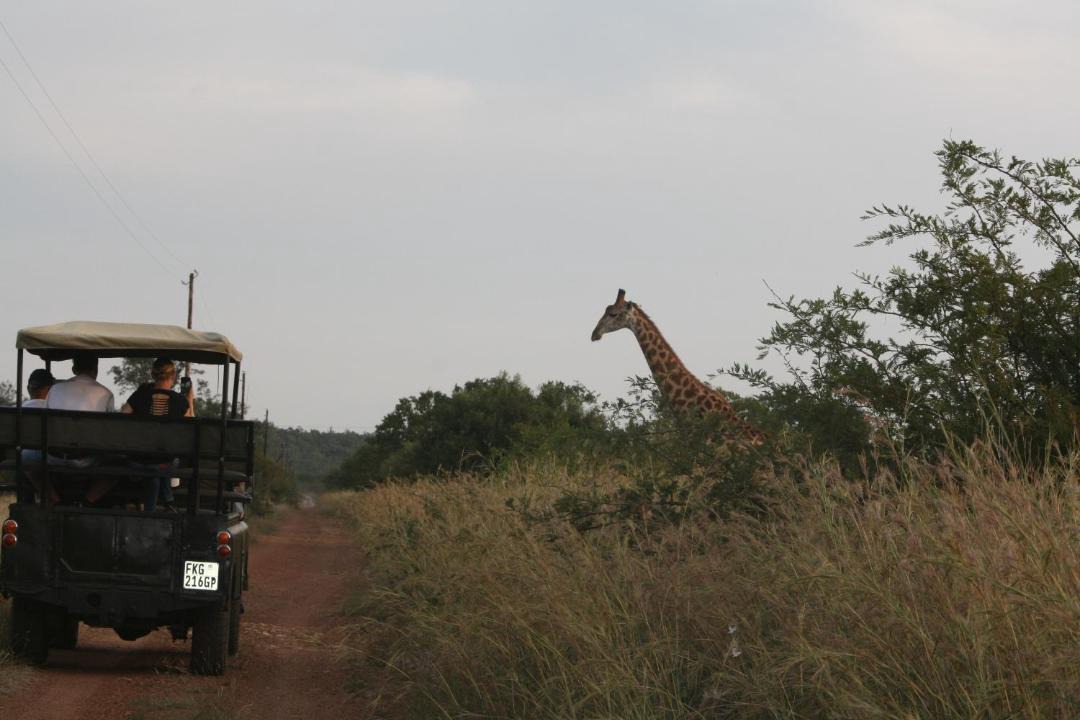 Photo of Others in Cullinan