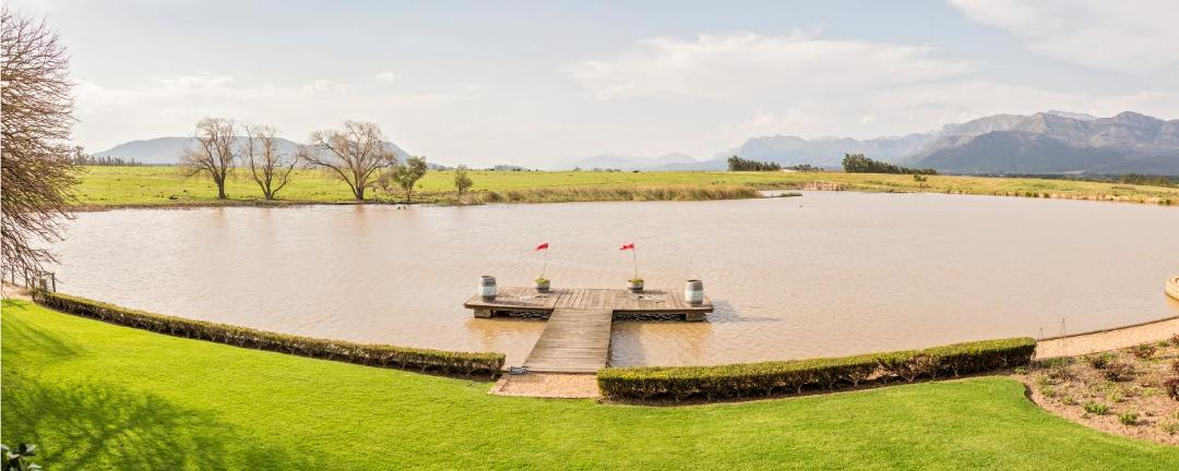Photo of Others in Cape Winelands