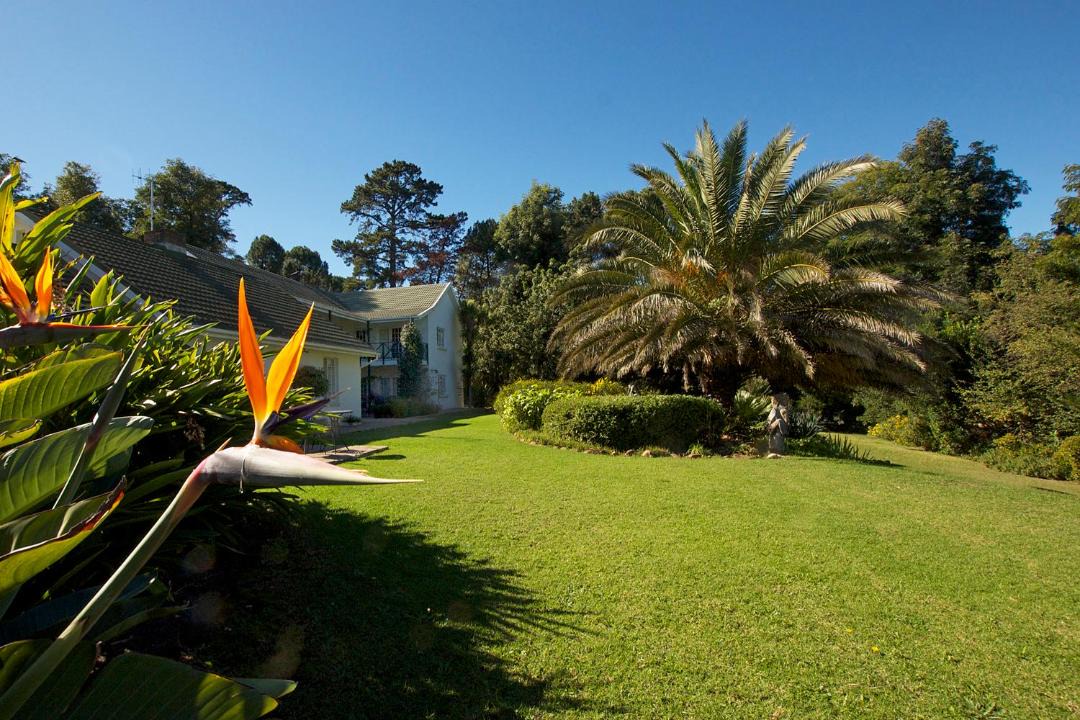 Photo of Others in Somerset West