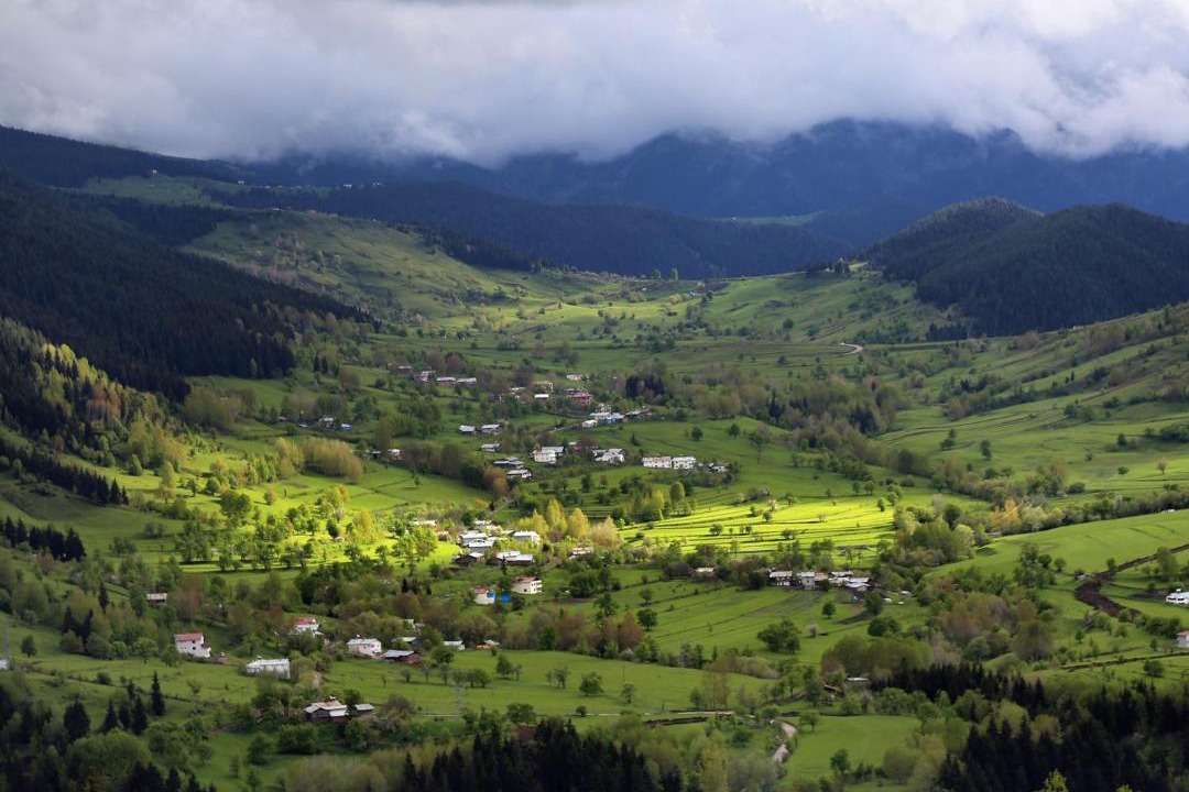 Photo of Buildings in Savsat