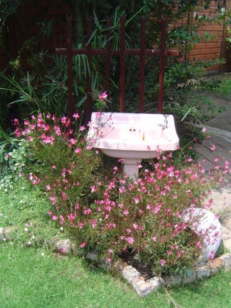 Photo of Others in Trichardt