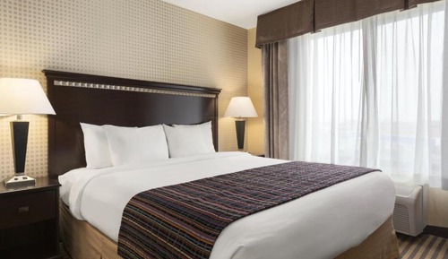 Suite, 1 King Bed