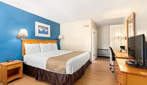Room, 1 King Bed, Poolside, Pet Friendly