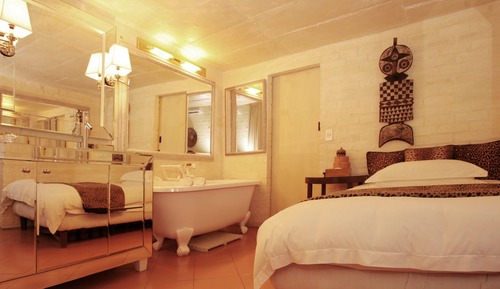 Safari Suite 