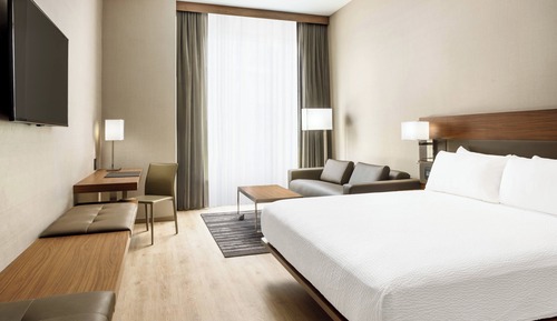 Room, 1 King Bed with Sofa bed, Hearing Accessible (Accessible Bathtub)