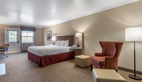Room, 1 King Bed, Balcony