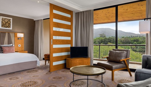Deluxe King Suite with Garden View