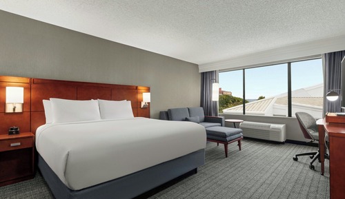 Room, 1 King Bed