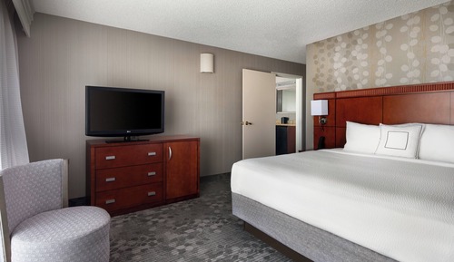 Suite, 1 King Bed with Sofa bed