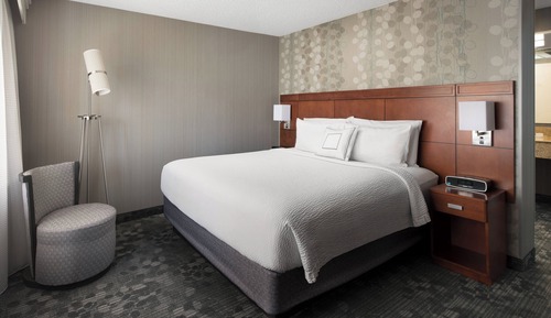 Suite, 1 King Bed with Sofa bed