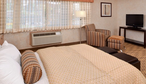 Standard Room, 1 Queen Bed, Non Smoking, Refrigerator (Queen Murphy Bed Only)