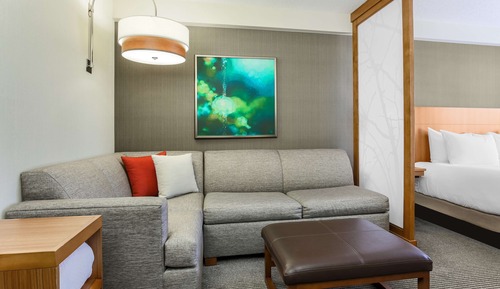 Standard Room, 1 King Bed with Sofa bed