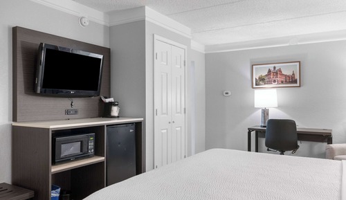 Room, 1 King Bed, Non Smoking