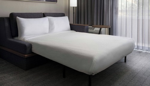 Suite, 1 King Bed with Sofa bed