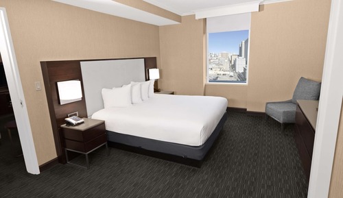 1 King Bed 1 Bedroom Suite