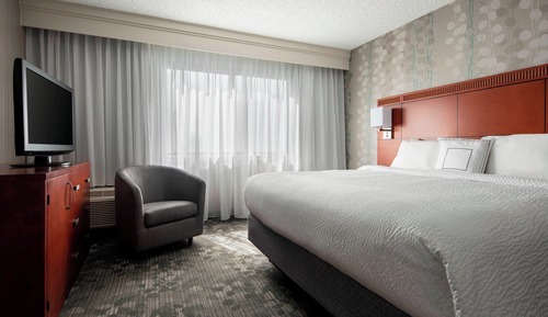 Suite, 1 King Bed with Sofa bed