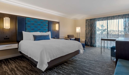 Standard Room, 1 King Bed, Non Smoking, Kitchenette (with Sofabed)