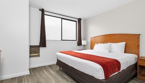 Standard Room, 1 King Bed, Non Smoking