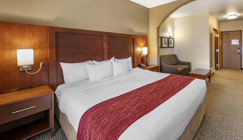 Studio Suite, 1 King Bed, Non Smoking