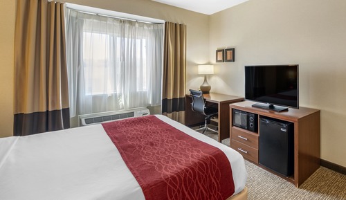 Standard Single Room, 1 King Bed, Non Smoking
