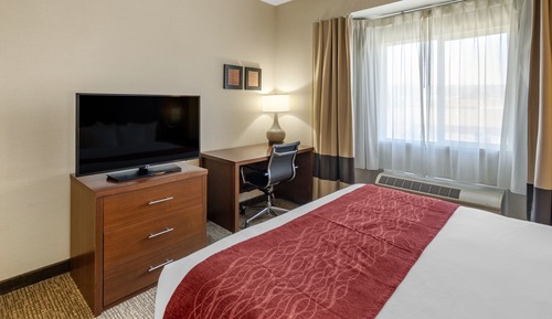 Standard Single Room, 1 King Bed, Non Smoking