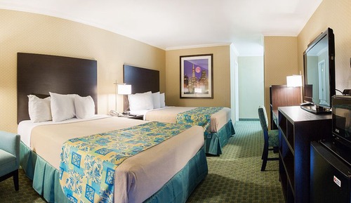Deluxe Room, 2 Queen Beds (Pet Room, Ground floor)
