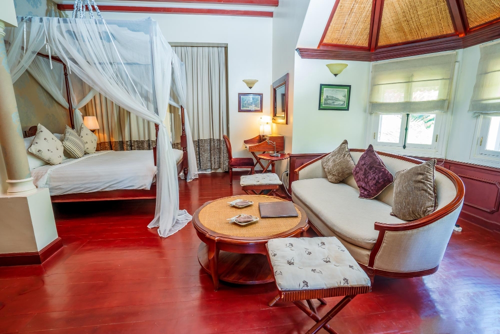 Room, 1 King Bed