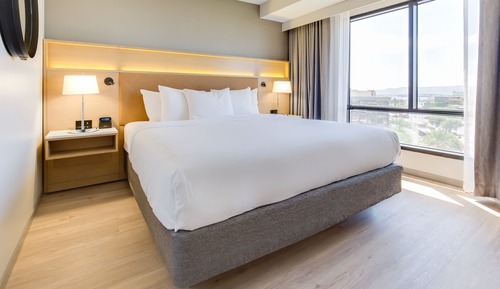 Room, 1 King Bed, Accessible, Non Smoking