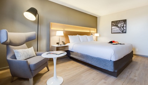 Room, 1 King Bed, Non Smoking