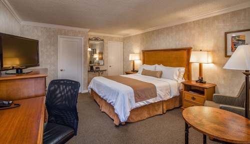 Standard Room, 1 King Bed, Non Smoking (with Sofabed)