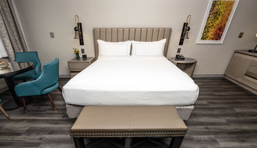 Room, 1 King Bed, Accessible, Bathtub (Hearing)