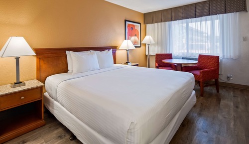 Standard Room, 1 King Bed, Non Smoking, Refrigerator & Microwave (Pet Friendly)