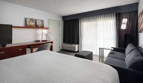 Room, 1 King Bed with Sofa bed