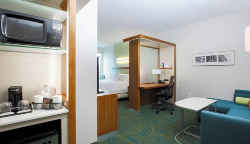 Suite, 1 King Bed with Sofa bed