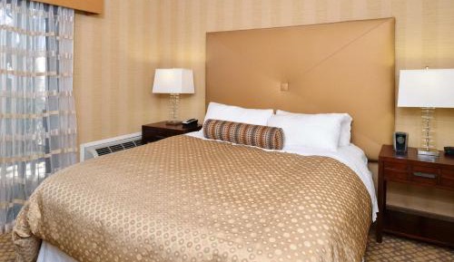 One-Bedroom King Suite