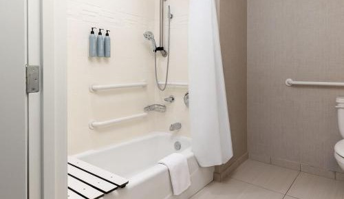 King Suite with Sofa Bed - Mobility Accessible with Tub