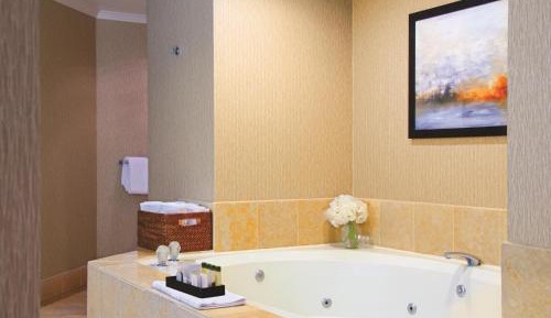 1 King Bed Studio Suite
