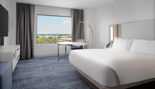 Superior One King Bed with City View
