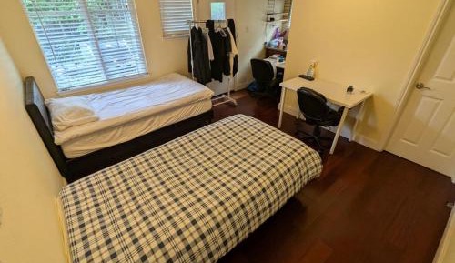 Single Bed in Mixed Dormitory Room