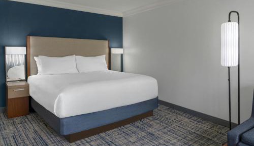Larger King Room with Sofa Bed