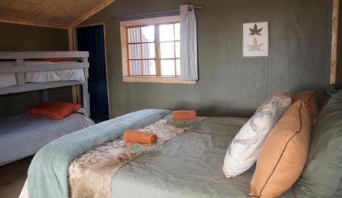 Basic Cabin