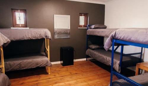 Bed in 8-Bed Mixed Dormitory Room