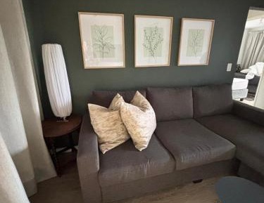 Comfort Apartment