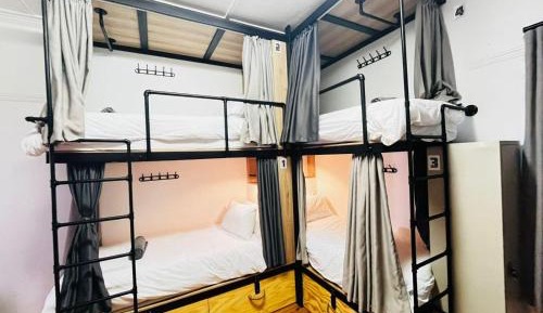 Bed in 8-Bed Mixed Dormitory Room