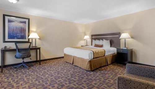 King Room with Wet Bar - Non-Smoking