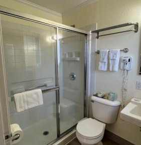 King Suite (Pet Friendly)