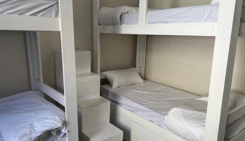 Single Bed in 10-Bed Dormitory Room