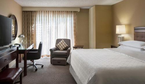 Guest Room, 1 King